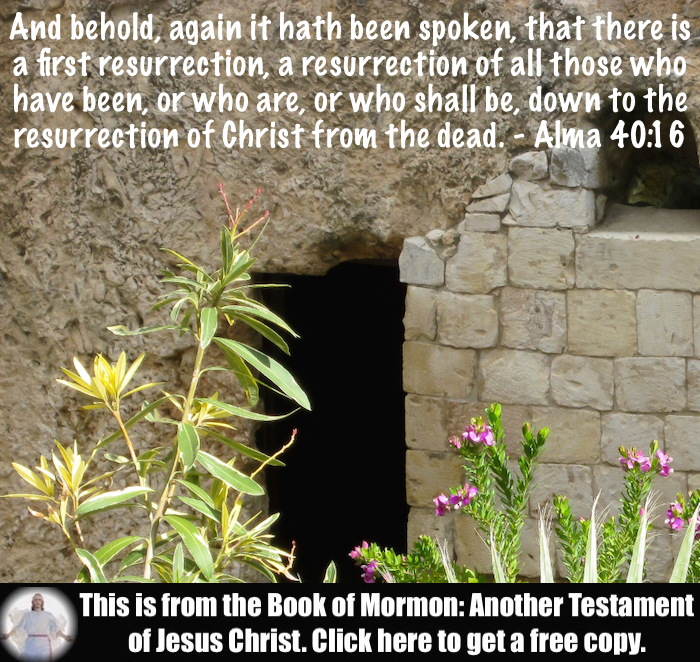 Seven Scripture Verses about the Resurrection of Jesus Christ!!