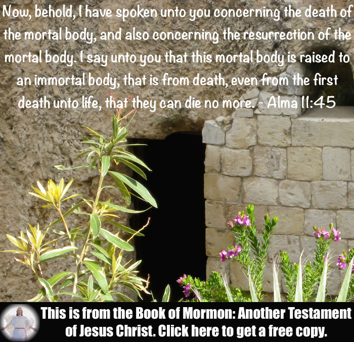 Seven Scripture Verses about the Resurrection!!